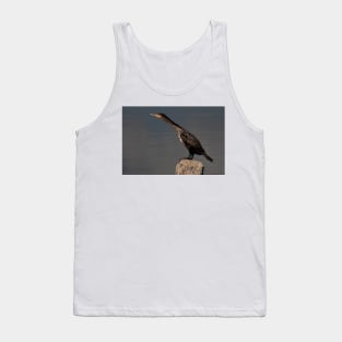 Double-crested Cormorant Tank Top